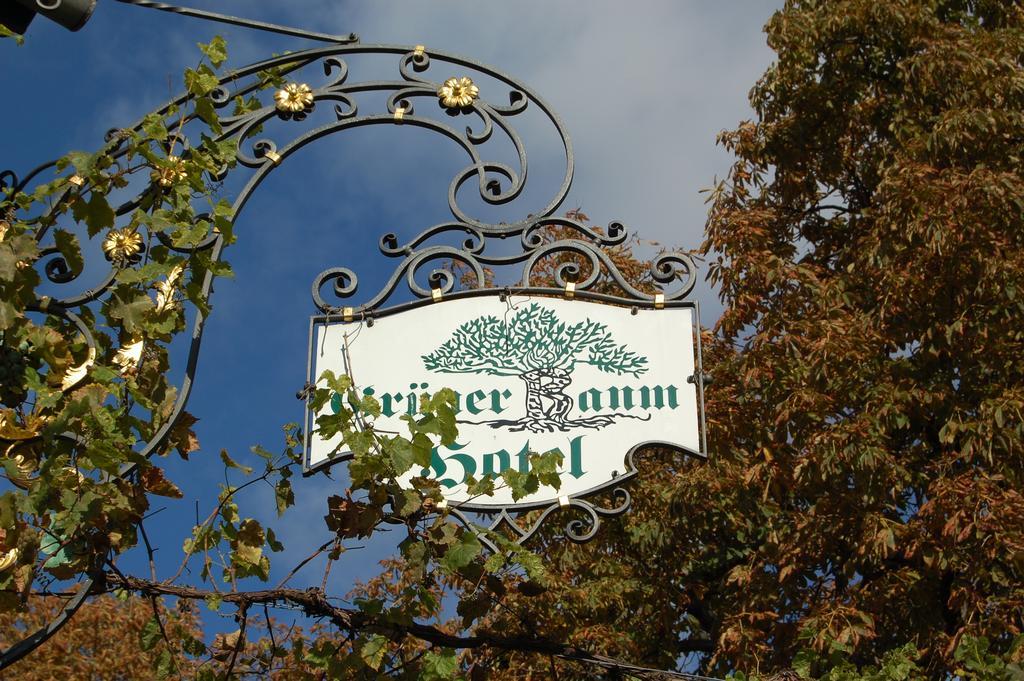 Hotel Gruener Baum Bretzenheim Esterno foto